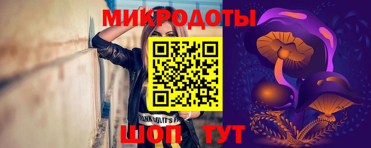 Псилоцибиновые грибы Cubensis Щёкино